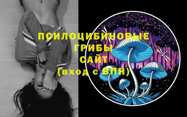 гашик Беломорск