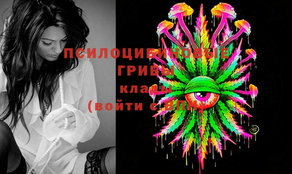 дурь Сосновый Бор
