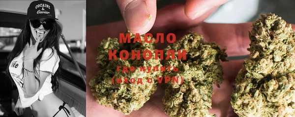mdpv Богородицк