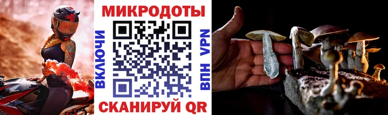 купить   Верхний Тагил  Псилоцибиновые грибы MAGIC MUSHROOMS 