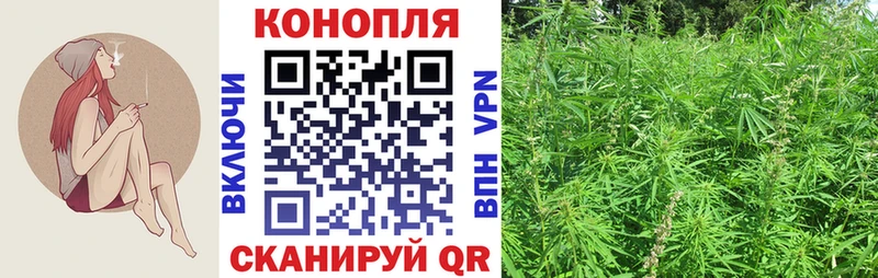 МАРИХУАНА семена  закладка  Верхний Тагил 